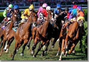 horse racing photo